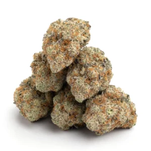 blueberry cupcakes strain