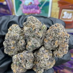 Acheter sweetz exotics