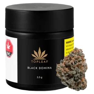 Black Domina Strain