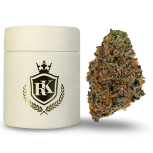 Studio 54 Strain