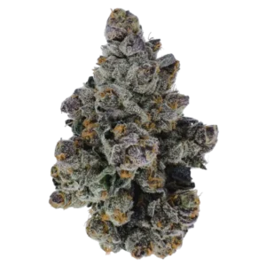 Apple Fritter Strain