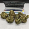 blue monkey strain