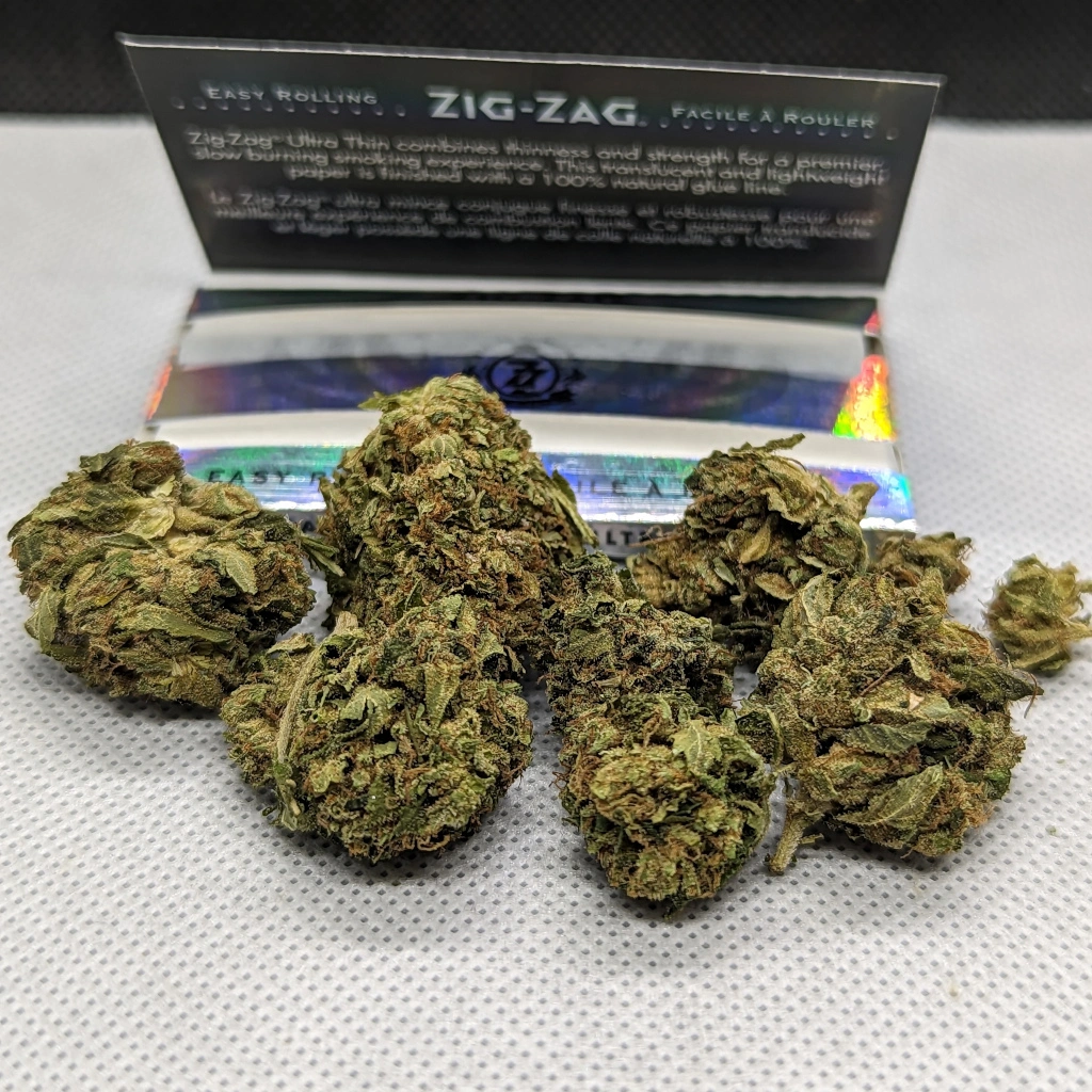 blue monkey strain