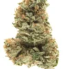bubblegum strain