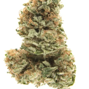 bubblegum strain