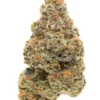 girl scout cookies strain
