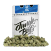 jungle boys seeds