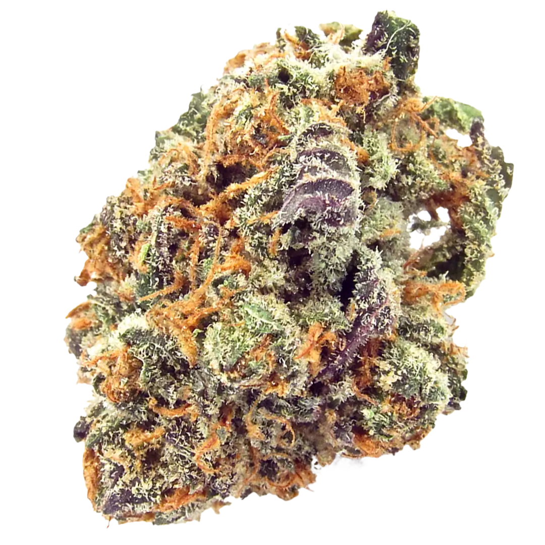 Mimosas Strain