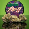 rs11 strain