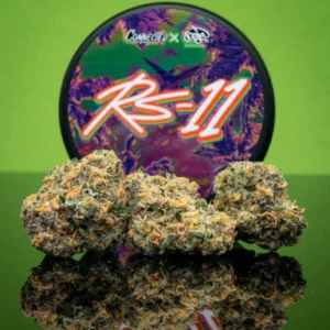 rs11 strain