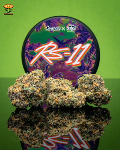 rs11 strain