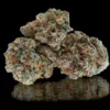 Strawberry Cake Strain