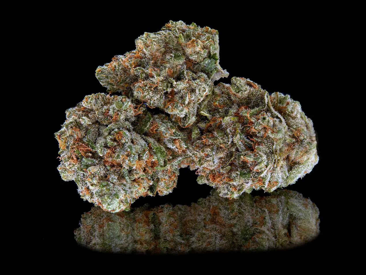 Strawberry Cake Strain