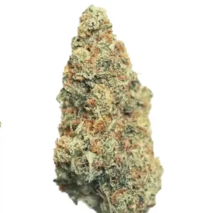 Think Fast Strain