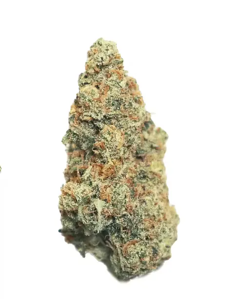 Think Fast Strain
