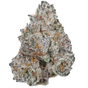 white truffle strain​